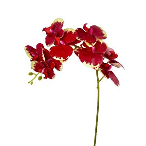 Yapay Çiçek Kırmızı Krem Islak Orkide Gerçeksi Doku Uzun Dal 90 Cm