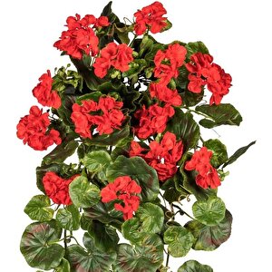 Yapay Çiçek Sarkan Sardunya 80cm 1. Kalite Kırmızı