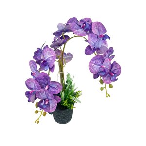 Yapay Çiçek 2li Lila Damarlı Islak Orkide Seramik Saksıda Orkide 60cm