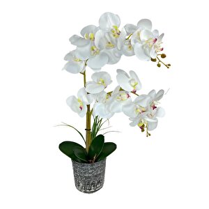 Yapay Çiçek 2li Beyaz Islak Orkide Seramik Saksıda Orkide 60cm