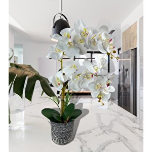 Yapay Çiçek 2li Beyaz Islak Orkide Seramik Saksıda Orkide 60cm