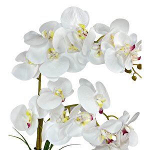 Yapay Çiçek 2li Beyaz Islak Orkide Seramik Saksıda Orkide 60cm