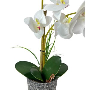 Yapay Çiçek 2li Beyaz Islak Orkide Seramik Saksıda Orkide 60cm