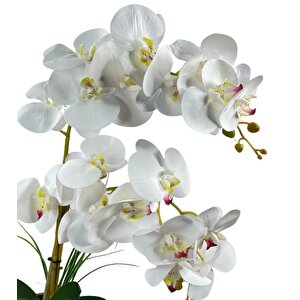 Yapay Çiçek 2li Beyaz Islak Orkide Seramik Saksıda Orkide 60cm