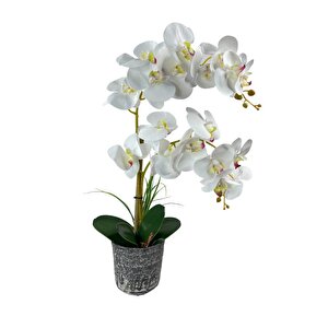 Yapay Çiçek 2li Beyaz Islak Orkide Seramik Saksıda Orkide 60cm