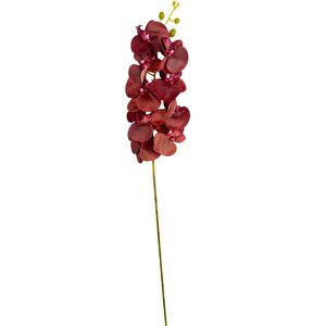 Yapay Çiçek Bordo Koyu Islak Orkide Gerçeksi Doku Uzun Dal 90 Cm