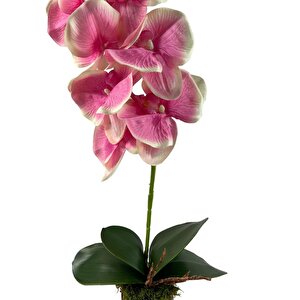 Yapay Çiçek Kütük Saksılı Tekdal Orkide Pembe 50*30cm