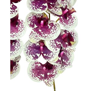 Yapay Çiçek Çilli Mor Islak Orkide Gerçeksi Doku Uzun Dal 90 Cm