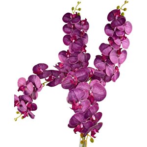 Yapay Çiçek Fuşya Damarlı Islak Orkide Uzun Dal 90 Cm Orkide