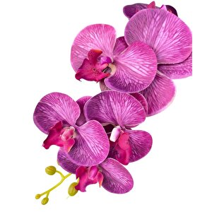 Yapay Çiçek Fuşya Damarlı Islak Orkide Uzun Dal 90 Cm Orkide