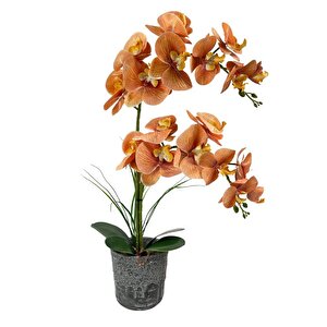 Yapay Çiçek 2li Somon Islak Orkide Seramik Saksıda Orkide 60cm