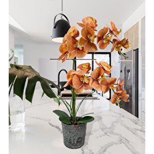 Yapay Çiçek 2li Somon Islak Orkide Seramik Saksıda Orkide 60cm