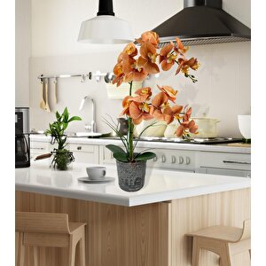 Yapay Çiçek 2li Somon Islak Orkide Seramik Saksıda Orkide 60cm