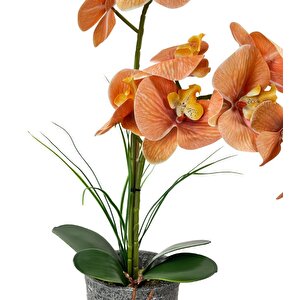 Yapay Çiçek 2li Somon Islak Orkide Seramik Saksıda Orkide 60cm