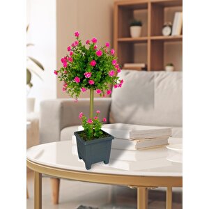 Bonsai Dekoratif Yapay Ağaç Pembe Mineli Bonzai 50*25cm