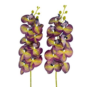 Yapay Çiçek Mor Sarı Çizgi Desenli Islak Orkide Gerçeksi Doku Uzun Dal 90 Cm
