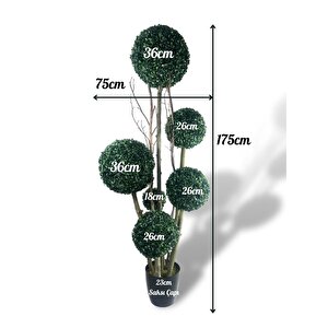 Yapay Ağaç Siyah Saksıda Yeşil Top Şimşir Ağacı 6 Toplu 175cm Yapay Çiçek