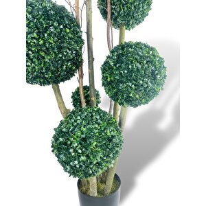 Yapay Ağaç Siyah Saksıda Yeşil Top Şimşir Ağacı 6 Toplu 175cm Yapay Çiçek