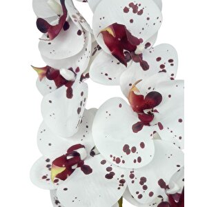 Yapay Çiçek Çilli Bordo Beyaz Islak Orkide Gerçeksi Doku Uzun Dal 90 Cm