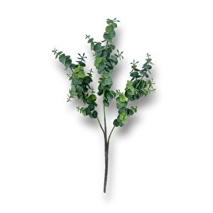Yapay Çiçek Pastel Yeşil Okaliptus 48cm 3dallı Uzun Dal Eucalyptus