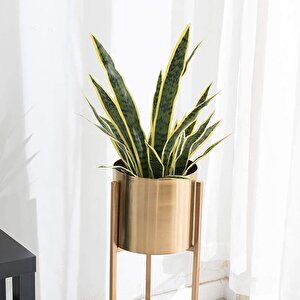 Yapay Çiçek Sansevieria Yeşil Kılıç Çiçeği 4 Adet 65cm Salon Çiçeği Yapay Bitki