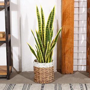 Yapay Çiçek Sansevieria Yeşil Kılıç Çiçeği 4 Adet 65cm Salon Çiçeği Yapay Bitki
