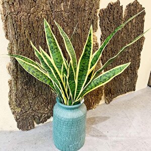 Yapay Çiçek Sansevieria Yeşil Kılıç Çiçeği 4 Adet 65cm Salon Çiçeği Yapay Bitki