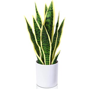 Yapay Çiçek Saksılı Yeşil Kılıç Çiçeği Dal 68cm Salon Çiçeği Beyaz Seramik Saksılı Yapay Bitki