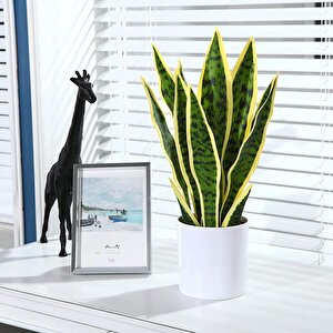 Yapay Çiçek Saksılı Yeşil Kılıç Çiçeği Dal 68cm Salon Çiçeği Beyaz Seramik Saksılı Yapay Bitki