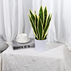 Yapay Çiçek Saksılı Yeşil Kılıç Çiçeği Dal 68cm Salon Çiçeği Beyaz Seramik Saksılı Yapay Bitki
