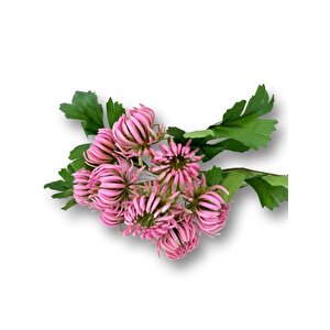 Yapay Çiçek Doğmamış Pembe Krizantem Demeti 5 Dallı Gelin Çiçeği Ve Aranjman Aradal Çiçeği 24cm