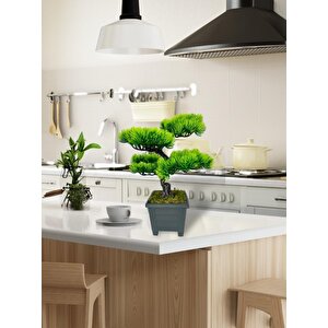 Bonsai Dekoratif Yapay Ağaç Yeşil Bonzai 39*25 Cm Siyah Kare Saksıda