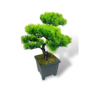 Bonsai Dekoratif Yapay Ağaç Yeşil Bonzai 39*25 Cm Siyah Kare Saksıda