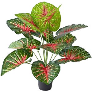 Yapay Çiçek Saksıda Tropik Kızıl Caladium 18 Dal 70 Cm Salon Çiçeği Yapay Bitki