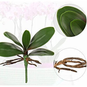 2li Set Yapay Çiçek Orkide Yaprağı Doğal Görünüm