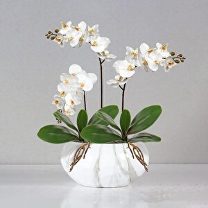 2li Set Yapay Çiçek Orkide Yaprağı Doğal Görünüm