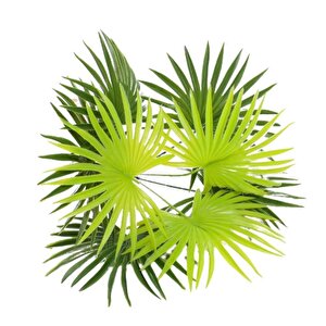 Yapay Çiçek Yelpaze Palmiye 8 Yapraklı  Demet 50*40cm Salon Çiçeği Yapay Bitki