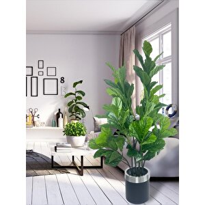 Yapay Ağaç Keman Yapraklı Kavuçuk Yeşil Salon Bitkisi Siyah Gümüş Galvaniz Saksıda 140cm