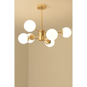 Rita Modern Gold Kaplama Beyaz Globe Camlı Altılı Avize