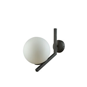 Tanya Modern Tasarım Kapalı Globe Camlı Aplik
