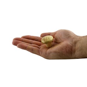 Mantar Düğme Sert Plastik Kulp Kayın Dolap Mobilya Mutfak Dolabı Çekmece Kapak Kulpu Kulbu 5 Adet