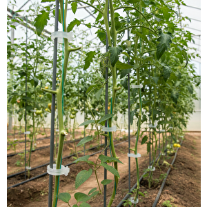 Bitki Klipsi - Domates Klipsi 100 Adet 25 Mm Gövde Sarmaşık Bitki Bağlama Kelepçesi, Beyaz