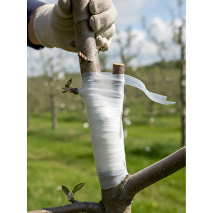 2 Adet Aşı Bandı - Aşı Bağı - Silikonlu Rulo Aşı Bantı Ağaç Aşılama - Aşı Yeri Sarma Bağlama Bandı