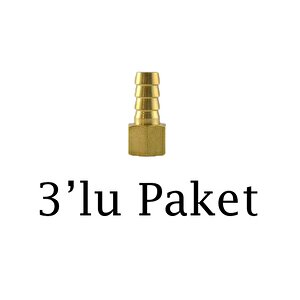 Hava Hortum Dişi Rekoru 1/4 10mm 3'lü Paket