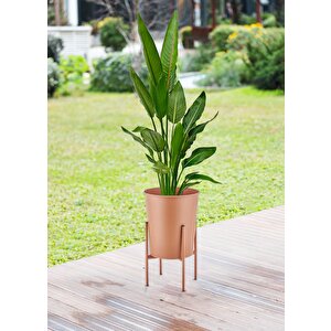 Suelo Vazo & Saksı Terracota 32x47 Cm