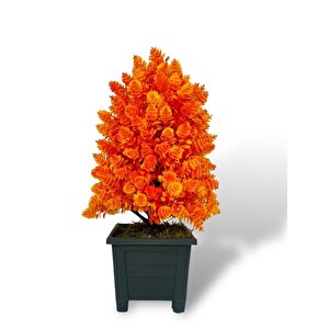 Yapay Çiçek Bonsai Ağacı Turuncu Kozalak Model Dekoratif Yapay Ağaç Bonzai 30*15 Cm Siyah Kare Saksıda