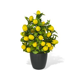 4lü Set Yapay Çiçek Kiraz Nar Limon Ve Mandalina Ağacı Siyah Saksıda 30cm