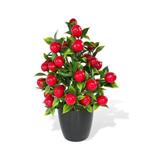 4lü Set Yapay Çiçek Kiraz Nar Limon Ve Mandalina Ağacı Siyah Saksıda 30cm