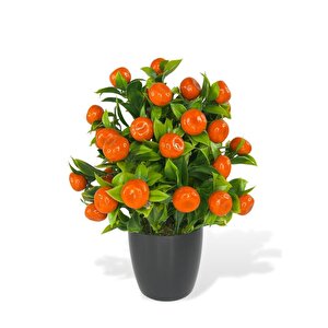 4lü Set Yapay Çiçek Kiraz Nar Limon Ve Mandalina Ağacı Siyah Saksıda 30cm