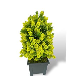 Yapay Çiçek Bonsai Ağacı Sarı Kozalak Model Dekoratif Yapay Ağaç Bonzai 30*15 Cm Siyah Kare Saksıda